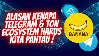 CRYPTO TELEGRAM amp TON ECOSYSTEM BANYAK PELUANG DI CYCLE KALI INI  EVENT PENUH CUAN DARI BANANA [upl. by Ruprecht]