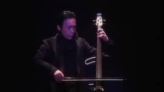 Susumu Hirasawa  Art Blind  Live [upl. by Ecnerat]