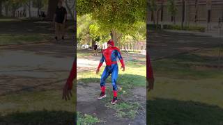 Estúpido y Sensual Spiderman humor spiderman memes funnyshorts comedia spidermanmemes risas [upl. by Colan524]