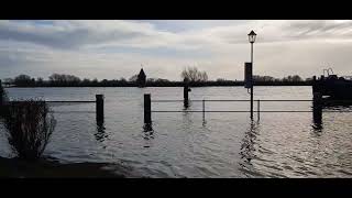 Hochwasser Tangermünde Elbe618mam 02012024 Es reicht fast bis zur Stadtmauer [upl. by Rodnas]