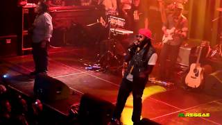 TARRUS RILEY quotShes Royalquot Melkweg Amsterdam 2012 [upl. by Carlin]