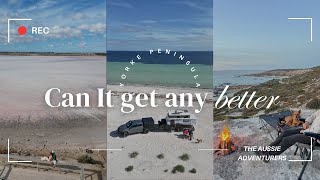 Is this the BEST dog friendly beach camping in AUSTRALIA [upl. by Petr662]