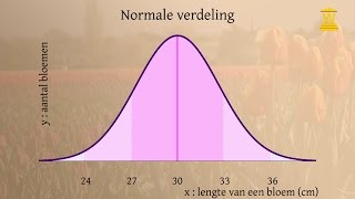 De normale verdeling deel 3 Gemiddelde standaardafwijking en grenzen uitrekenen  Wiskunde [upl. by Gambell]