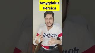 Amygdalus Persica Homeopathic Medicine shorts youtubeshorts [upl. by Landing]