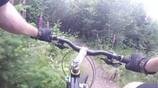 MTB Stainburn Forest Red Route Downhill Section [upl. by Bradman]