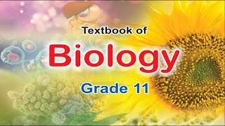 25 BIOLOGICAL MOLECULES PART 5 II 11TH CLASS FEDERAL BIOLOGY [upl. by Nevaeh9]