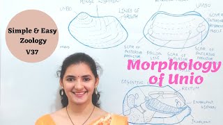 Morphology of Unio  Externals of Unio  External morphology of Unio  Fresh water mussel  Mantle [upl. by Teryn491]