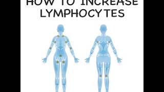 How to Increase Lymphocytes [upl. by Bashemath]