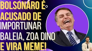 Bolsonaro é investigado por importunar baleia faz piada com Dino e vira meme [upl. by Arahk]