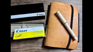 New Fountain Pen Unboxing  Pilot PRERA [upl. by Savanna]