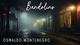 Bandolins de Oswaldo Montenegro  Lyric video [upl. by Eignav968]