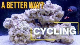 Today’s Cycling Techniques 10 Questions That Guarantee a Better Cycle and Healthier Aquarium [upl. by Blum]