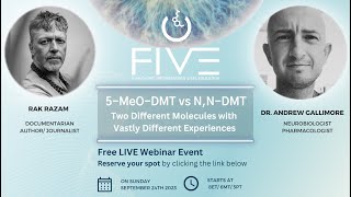 5MeODMT vs N NDMT Two Different Molecules Vastly Different Experiences [upl. by Aneerhs]