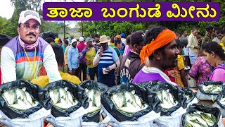 ಪಣಂಬೂರಿನಲ್ಲಿ ತಾಜಾ ಬಂಗುಡೆ ಮೀನು  Exploring The Vibrant Fish Market near Panambur Beach [upl. by Mossman]