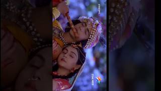 Tomar Akash Duti Chokhe Ami Hoye Gechi Tara WhatsApp Status✨Radha Krishna❤️Full Status shorst [upl. by Gnok109]