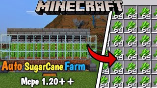 Auto Sugarcane Farm Mcpe 120 TUTORIAL MCPEXboxBedrockPc [upl. by Turne]