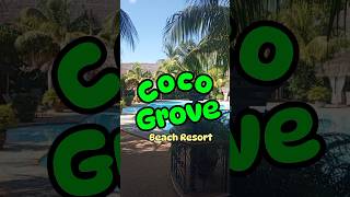 Coco Grove Beach Resort  where the waves meet comfort travel beach beachresort wanderlust [upl. by Fesuy]