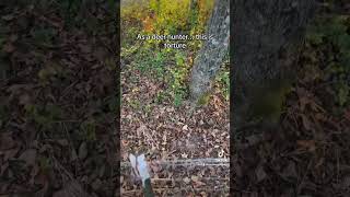 85 acres of prime Whitetail property cant touch it 😭 archery deerhunting bowhunting [upl. by Neeruam]