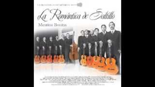 Mentiras Bonitas Álbum completo La Romántica de Saltillo 2011 [upl. by Barayon]