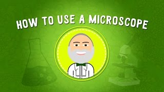 How to Use a Microscope  STEM [upl. by Keily]