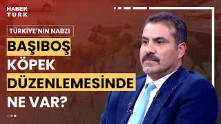 quotSahipsiz Köpek Yasasıquot nasıl olacak Av Serkan Toper yanıtladı [upl. by Nelia]