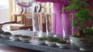 How to Make Loose Leaf Green Tea in Glass 3 Traditional Methods [upl. by Murage]