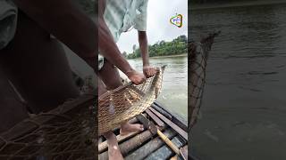 It is raining in Mosuldhar meanwhile fishing is going on in Ichamati river [upl. by Aiuqenehs]