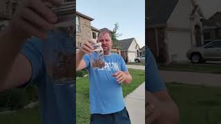 Trapping a Swarm of Angry Wasps in a Mason Jar 🐝😱 Shorts wasps hornet becareful [upl. by Romeyn]