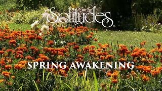 Dan Gibson’s Solitudes  Spring Awakening  Spring Awakening [upl. by Leduar]