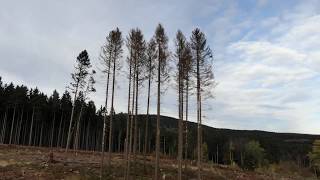 Harz von Oben Quesenbank  Schierke [upl. by Charmion]