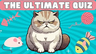 Are You Feline Lucky Enough to Win [upl. by Fording]