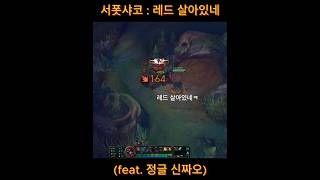 서폿샤코  레드 살아있네 feat정글 신짜오 shaco Xin Zhao [upl. by Zephaniah]