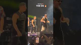 Energy 10 Saal Baad Bhi  Yo Yo Honey Singh yoyohoneysingh pune rapmusic [upl. by Secnarfyram]