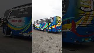 telolet om bismania busmania basuriv3 basuri [upl. by Audres59]