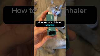 How to use an inhaler Ventolin pharmacist inhaler asthma technique healthandwellness [upl. by Hartnett995]