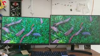 monitor 21 inch vs 24 inch Size Comparison [upl. by Ardelle169]