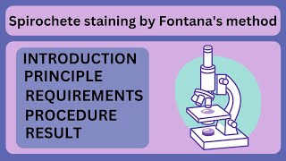 Spirochete staining by Fontanas method  microbiology  LIFESCIENCE LEARNER [upl. by Horton]