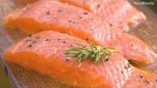 CNN Chef wont use engineered salmon [upl. by Naryb]