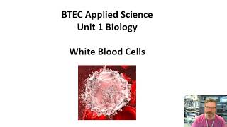 BTEC Applied Science Unit 1 Biology White Blood Cells [upl. by Nnylrac]