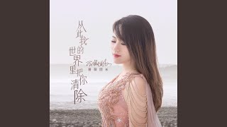 从此我的世界里把你清除 Dj沈念版伴奏 [upl. by Selway]