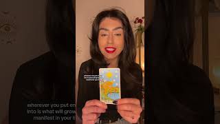 Energy Update Tarot Reading [upl. by Anahsor749]