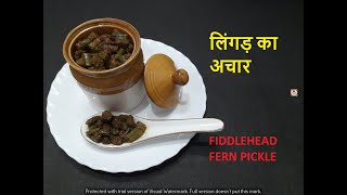 LINGAD KA ACHAAR  स्वादिष्ट लिंगडे का अचार  FIDDLEHEAD FERN PICKLE  KASROD PICKLE  LINGADE [upl. by Ayihsa80]