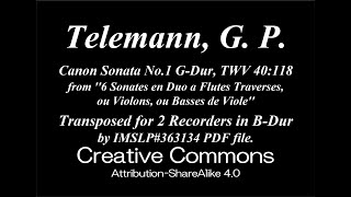 Telemann G P  Canon Sonata No1 TWV 40118 2 Recorders [upl. by Kath]