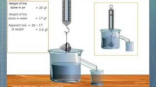 Verification of Archimedes Principle [upl. by Nomelihp5]