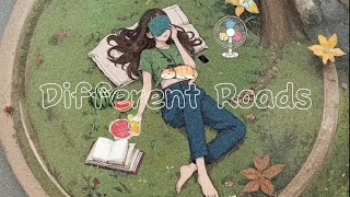 Lofi vie  Different Roada  Relaxing Lofi Beats for Studying Working amp Chilling 🎧✨ [upl. by Glynda]