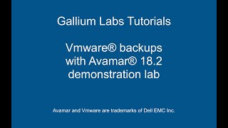 Vmware backups with Avamar [upl. by Aisul253]