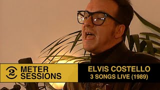 Elvis Costello  3 songs live on 2 Meter Sessions 1989 [upl. by Hael994]