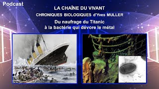 Podcast 11  Du naufrage du Titanic à la bactérie qui dévore le métal [upl. by Derick]