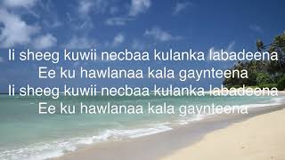 AWALE ADAN  I KAAMILA XIIS  Lyrics [upl. by Bram]