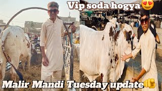 Malir Mandi latest Tuesday update ❤️vip soda hogya😍 [upl. by Atinaw]